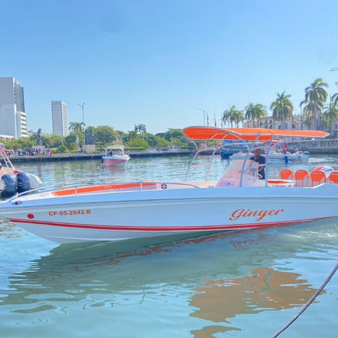 Private boat rental Cartagena - Juan Ballena